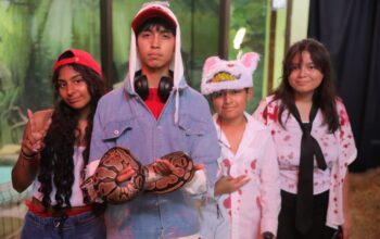 Cuatro jóvenes disfrazados posan con una serpiente en el Día de Muertos en el Zoológico de Nuevo Laredo